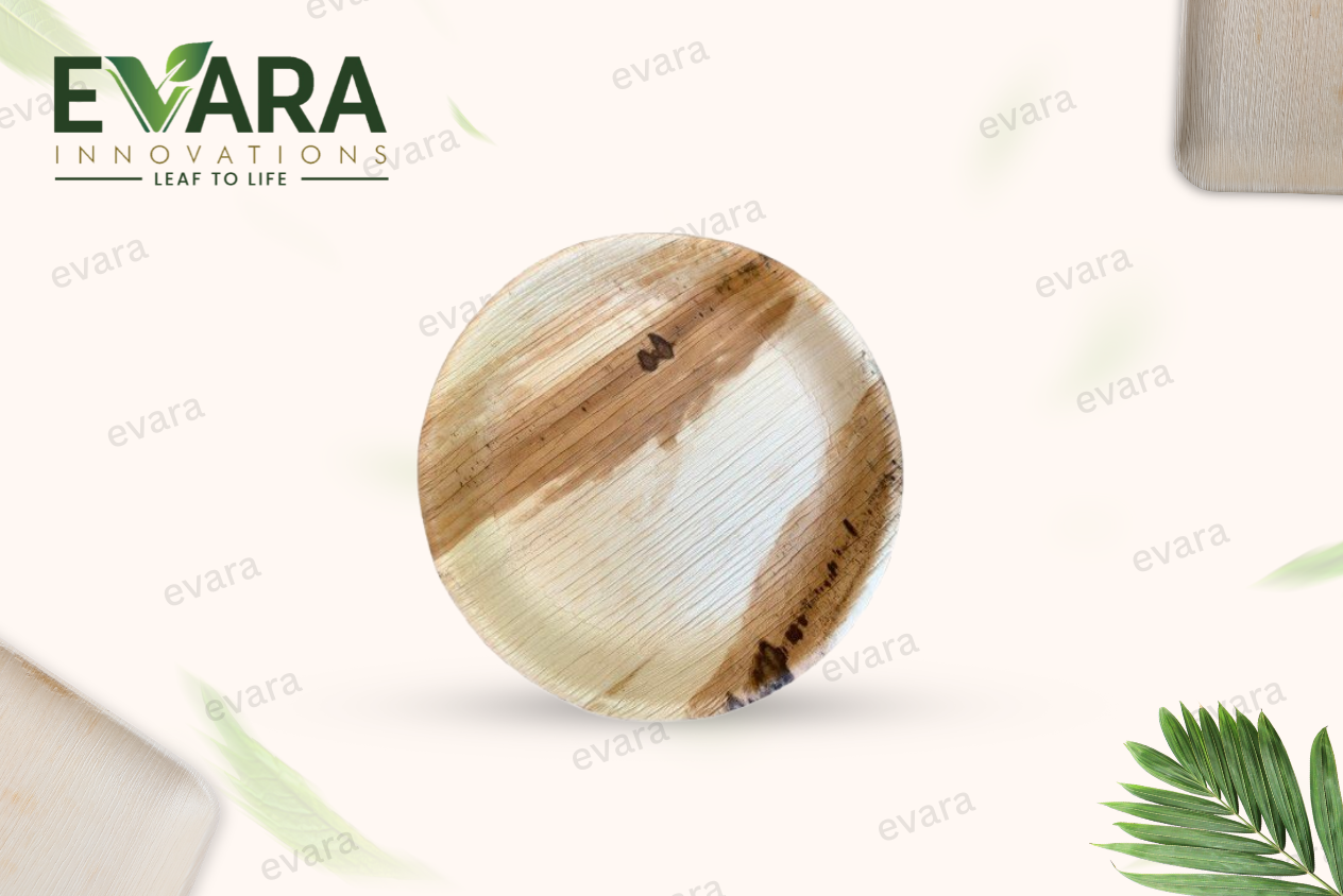 10" Round Deep Plate 5