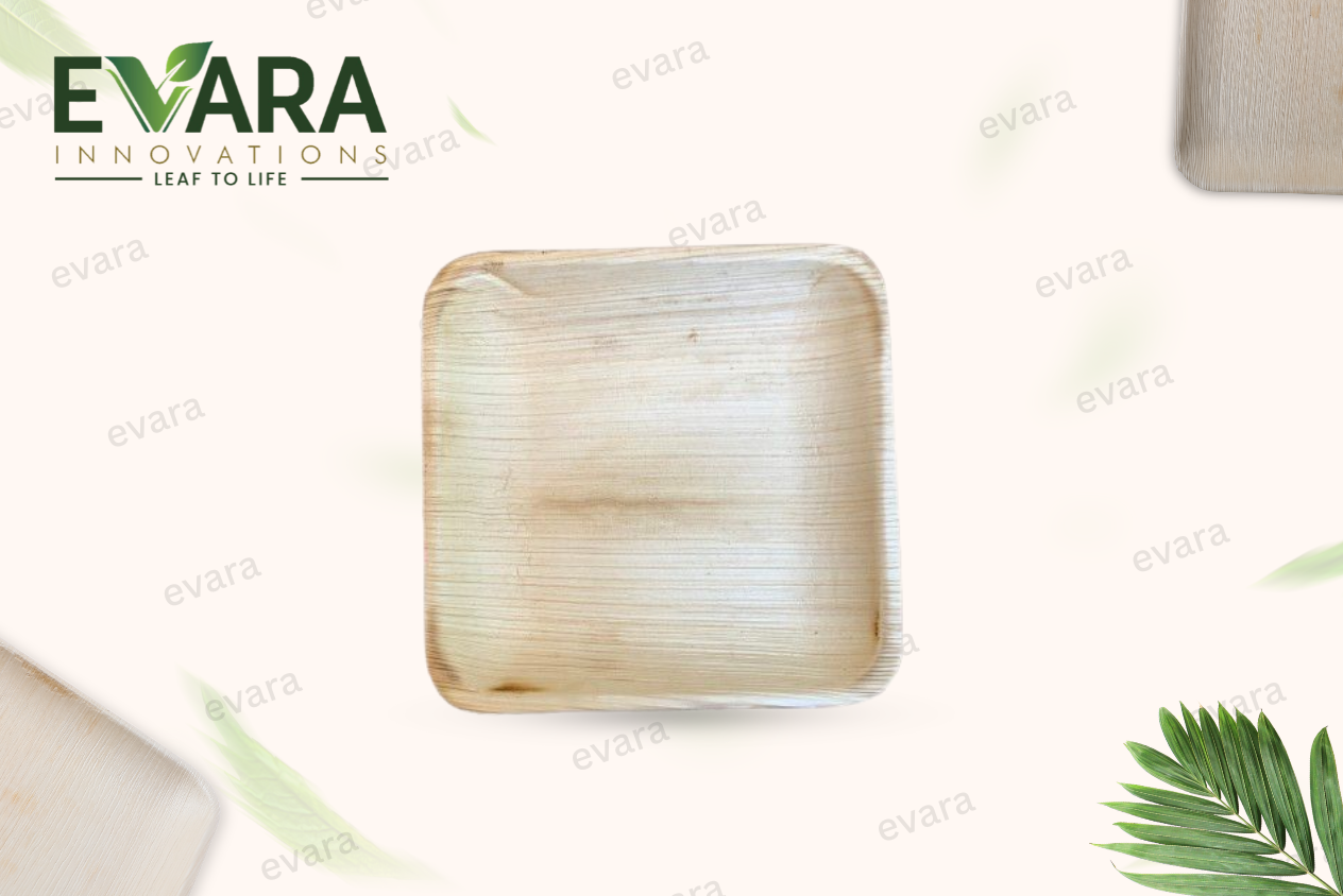 6" Square Plate 1
