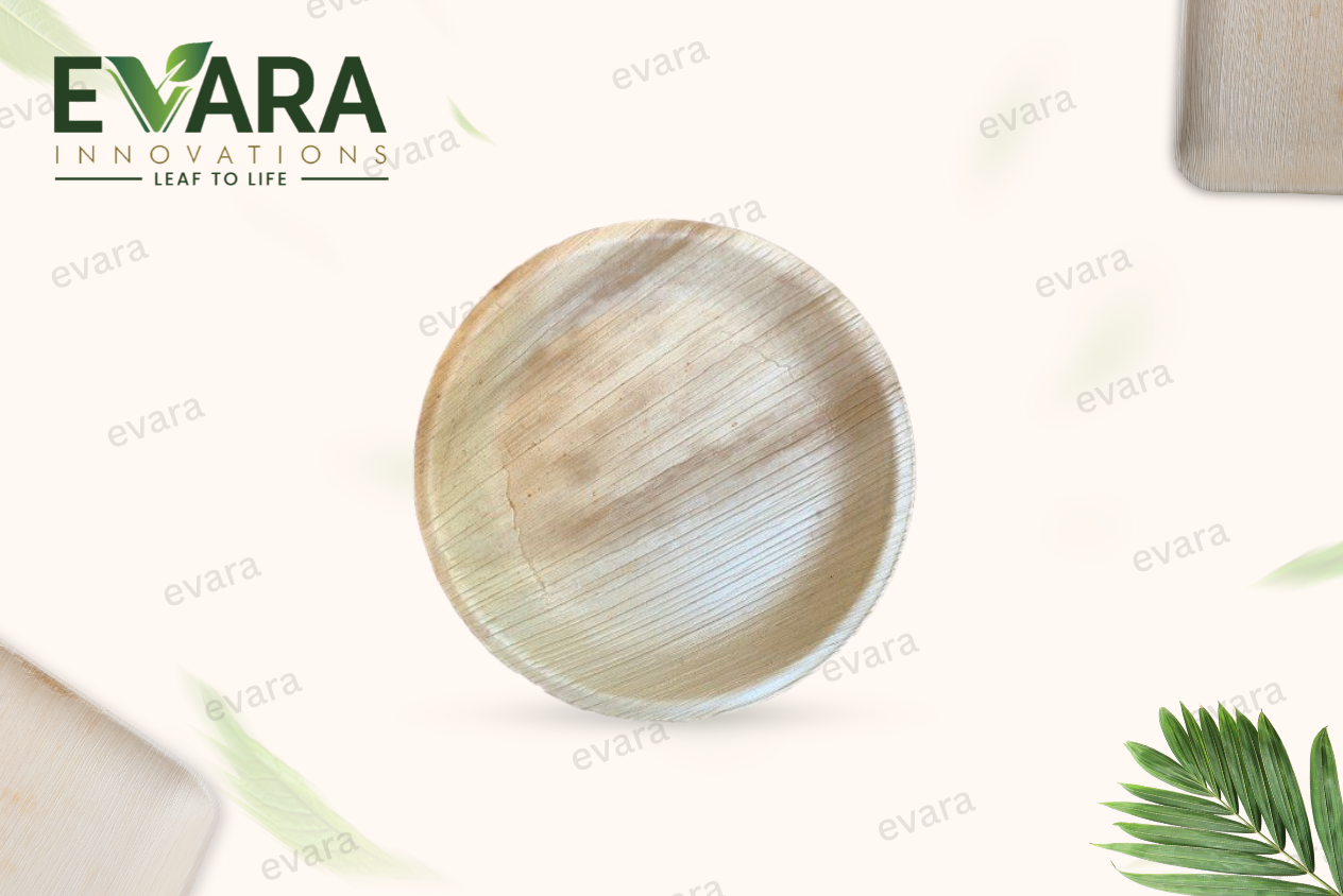 8" Round Deep Plate 5